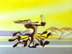 Wile-e-coyote GIFs - Get the best GIF on GIPHY