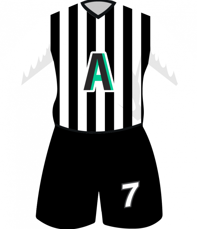 maglietta