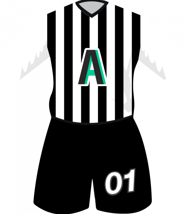 maglietta