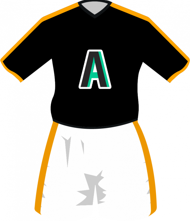maglietta