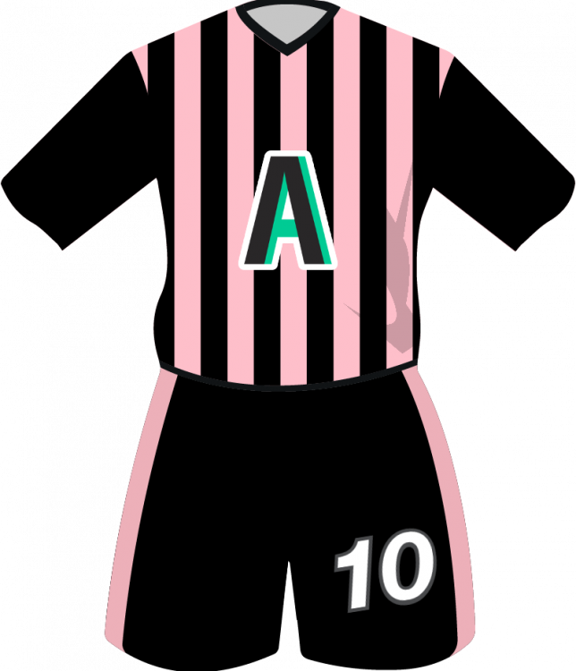 maglietta