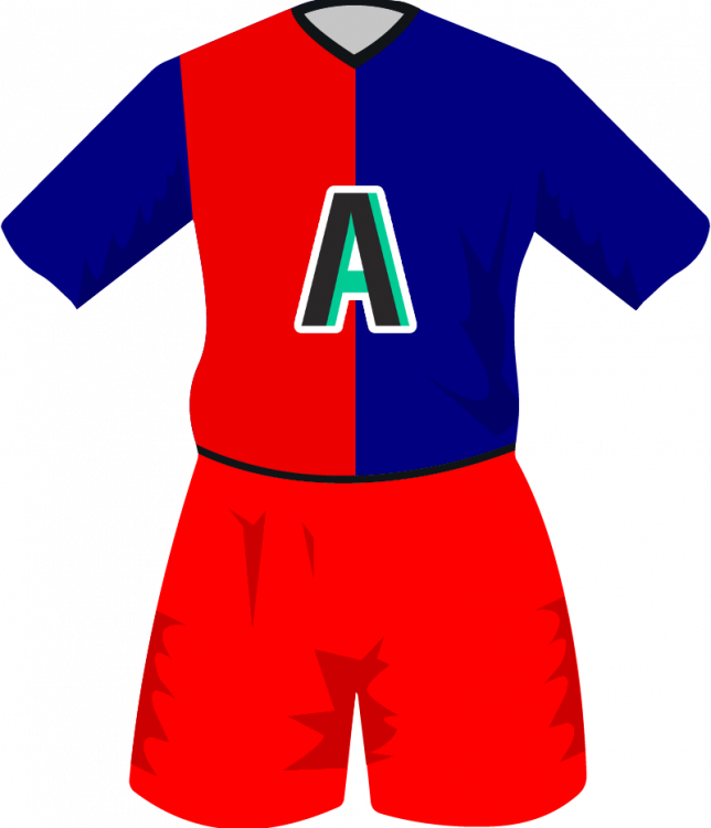maglietta