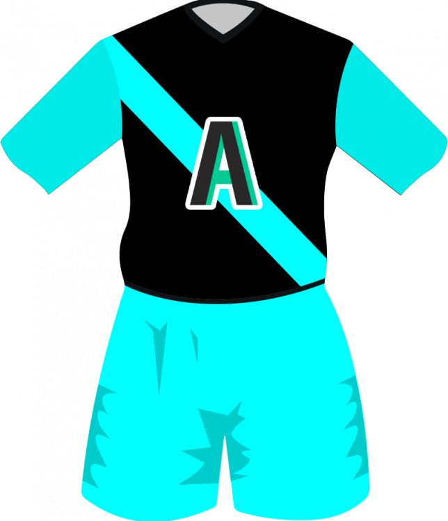 maglietta