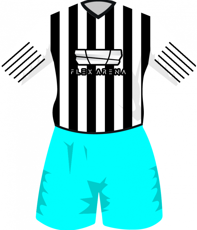 maglietta
