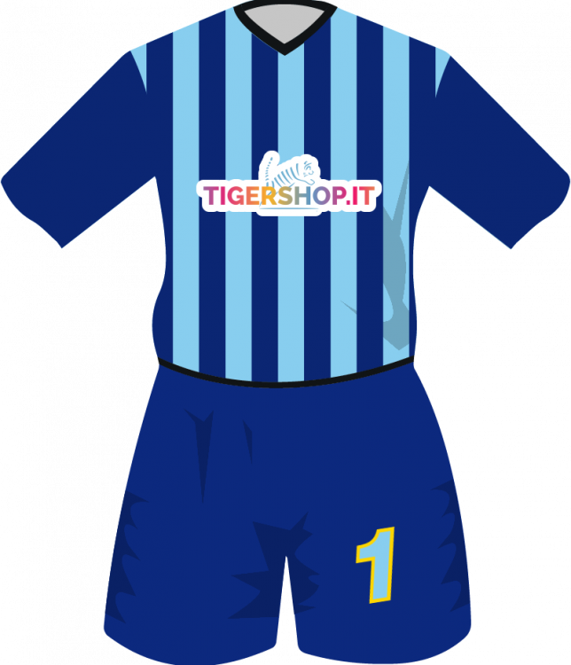 maglietta