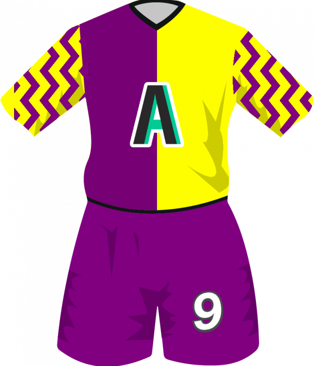 maglietta