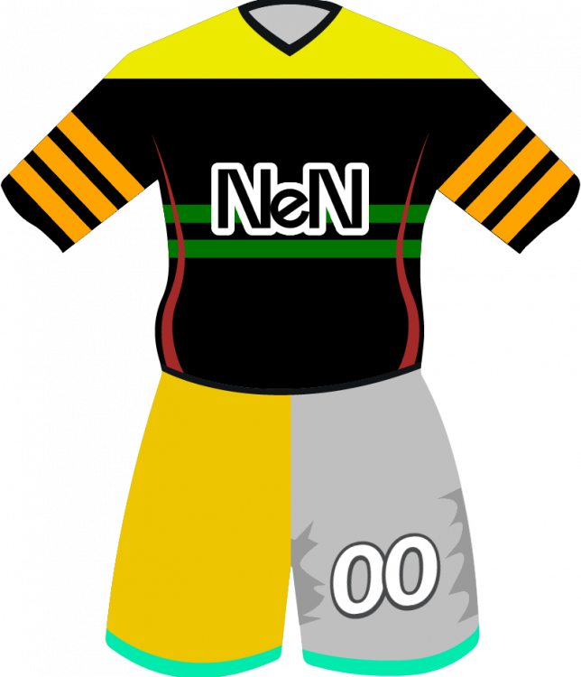 maglietta