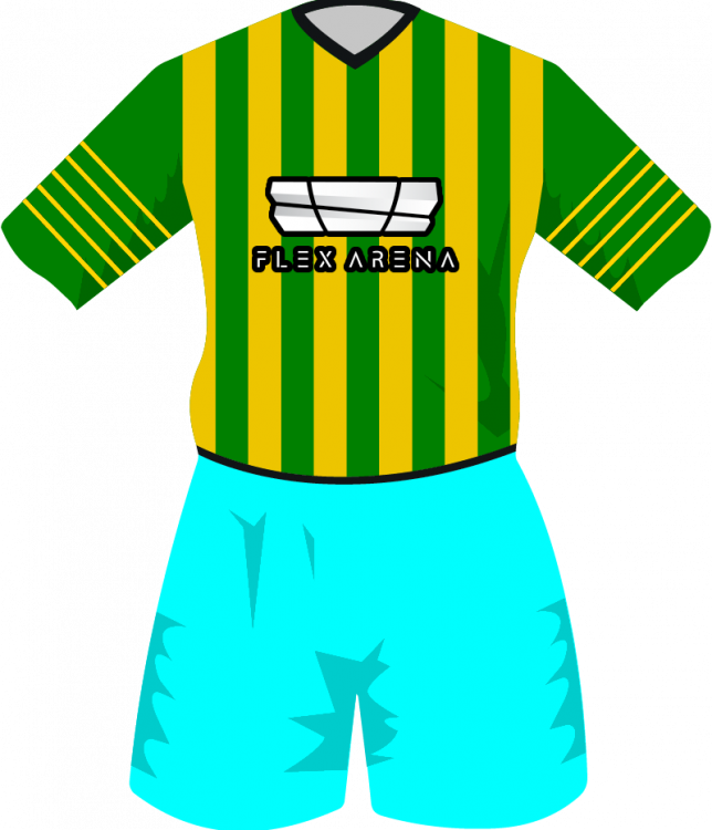maglietta