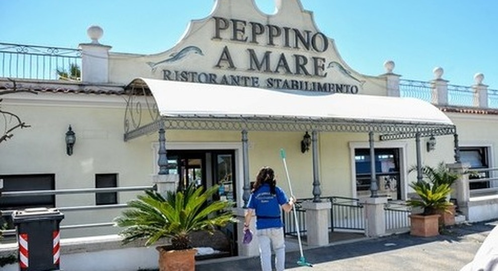 2429041_1603_peppino.jpg