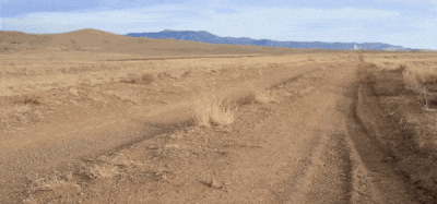 Le GIF di Tumbleweed - 52 immagini animate gratis