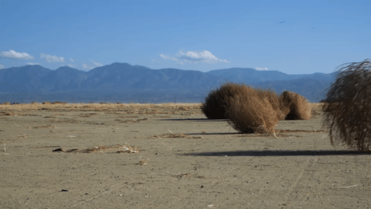 Le GIF di Tumbleweed - 52 immagini animate gratis