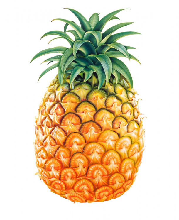 ananas3.jpg