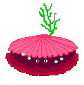 mollusco-conchiglia-immagine-animata-002