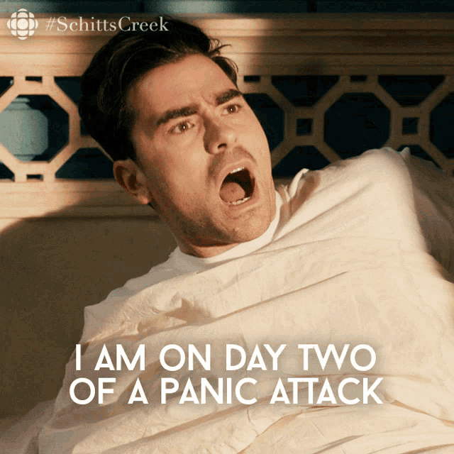 i-am-on-day-two-of-a-panic-attack-david-