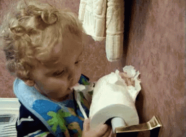 Toiletpaper Eating GIF - TOILETPAPER Eating Toilet - Discover &amp; Share GIFs