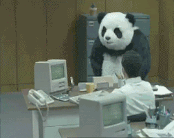 angry-panda-office.gif