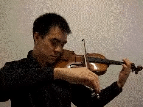 Violino.gif