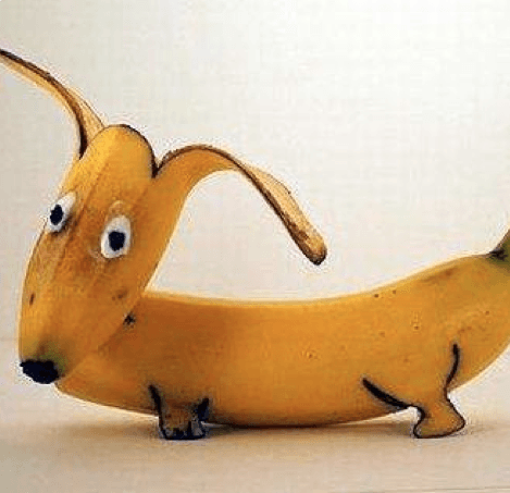 Risultati immagini per cani banana