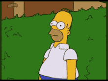 Homer Simpson GIFs | Tenor