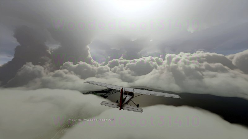 Microsoft Flight Simulator V1 637980