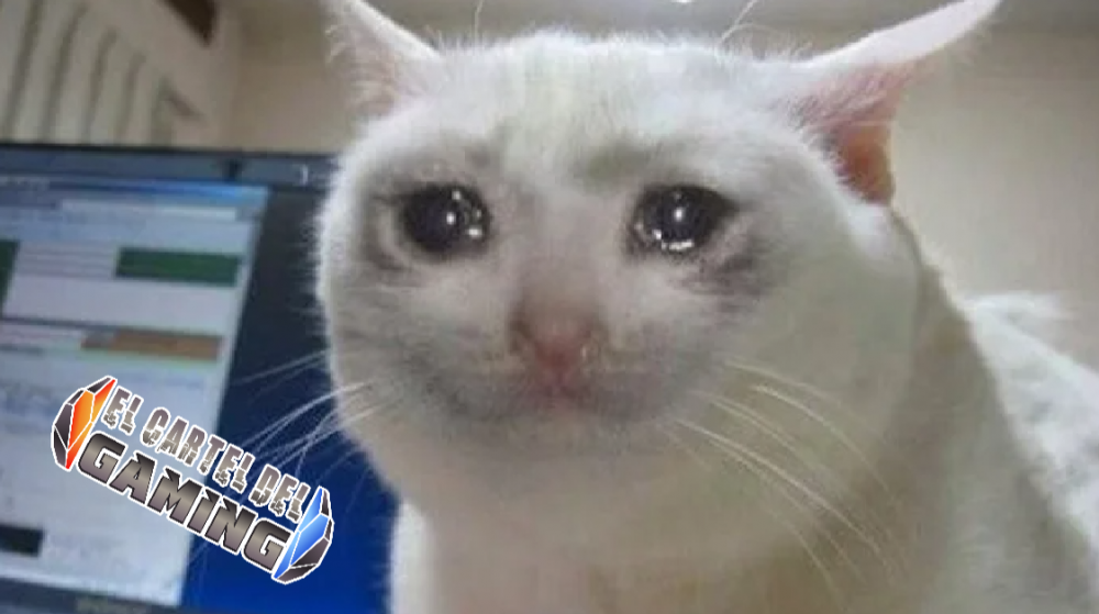 Gatto che piange: La storia del Meme - El Cartel Del Gaming
