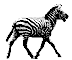 zebra-immagine-animata-0006