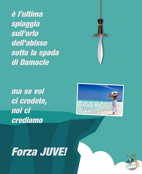 juvmacc.jpg