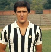 Scirea68