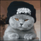 cat-drumming-paws_zps37602140.gif.be4171fea4a711db24e147a736bea7ff.gif