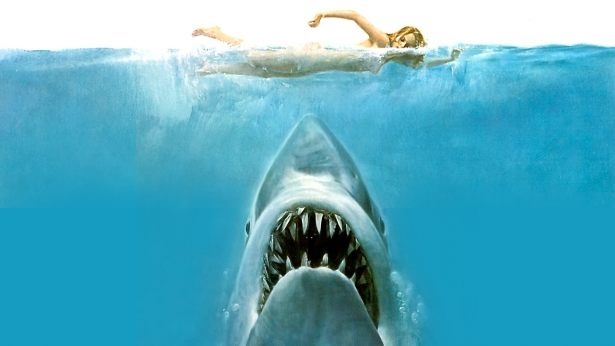 jaws.jpg.5448b87a45b09f0f291b5a61d62eda82.jpg