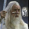 Gandalf il Grigio