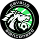 Cavallo Bianconero