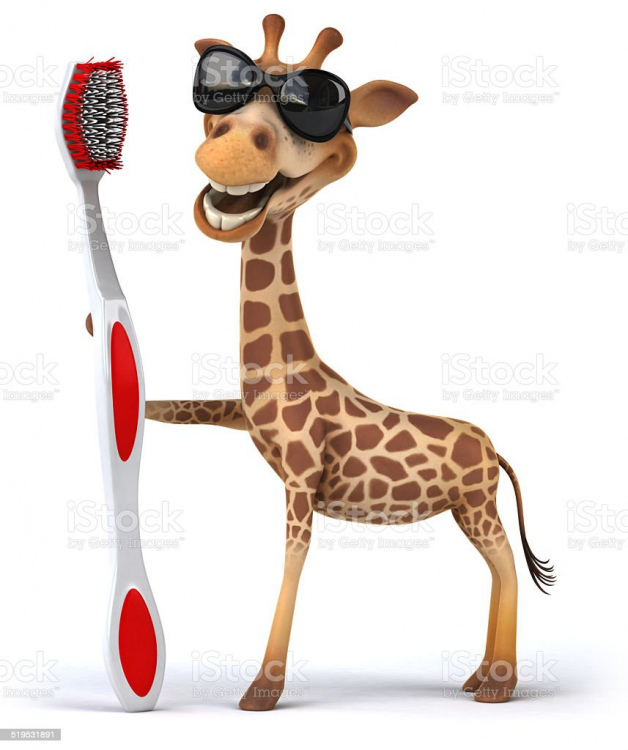 giraffa spazzolino.jpg