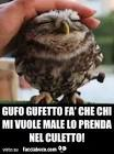 image.png.f4d0293139abdeee2414d26cb6df8d4b.png