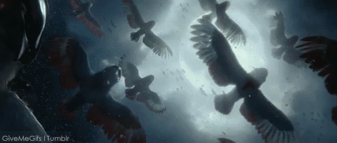 tumblr_lhi5a50xz81qh6qrto1_500.gif.0df1cc766290385c8d95abe4c0ab202e.gif