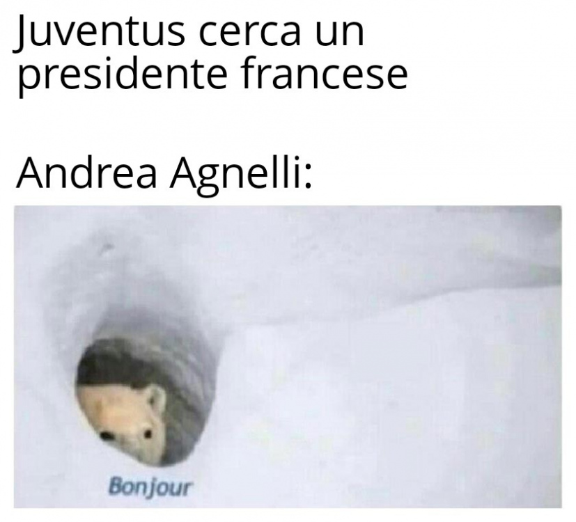 Bonjour Bear 25092025203156.jpg