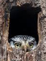 imageproxy2_2.jpg.d5ce38523abc93680c1707ebb265f888.jpg