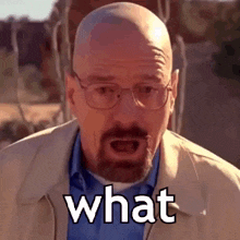 copyImage.gif.03414af377c79c76579c9c4f45846377.gif