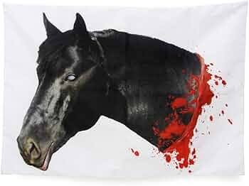 cavallo.jpg.113f32da16579998c5dd130b45398e71.jpg