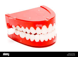 image.jpeg.b091ad015830fa699e09790bf45e8b32.jpeg
