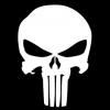 the punisher
