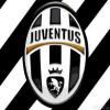 zebrotto85