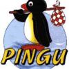 pingu